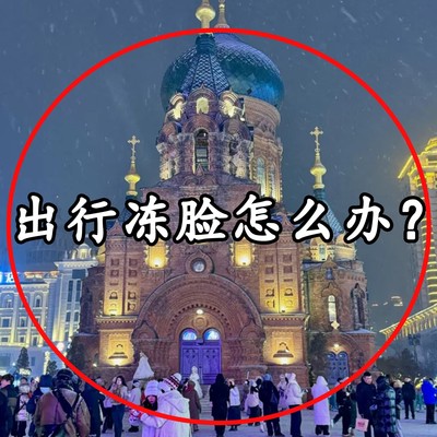 东北零下40度哈尔滨旅游防寒装备滑雪防风抗寒面罩绒棉马桶垫3