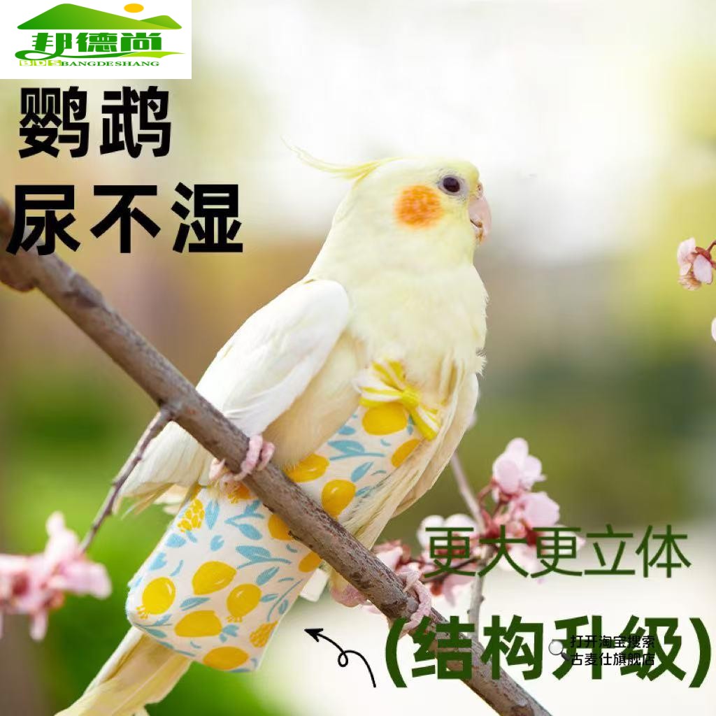 鹦鹉尿不湿鸟用屎兜衣服虎皮牡丹玄凤专用尿裤调节飞行服鹦鹉用品
