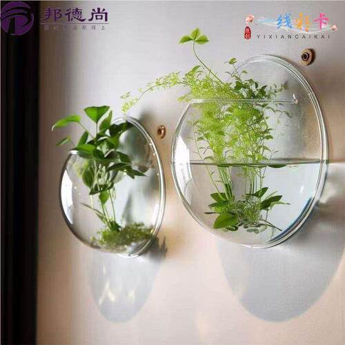壁挂式挂墙透明花盆亚克力墙壁水培绿萝花瓶墙面装饰品客厅背景墙