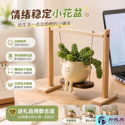 情绪稳定小花盆阳台家用桌面摆件办公室盆栽多肉秋千装饰工艺品