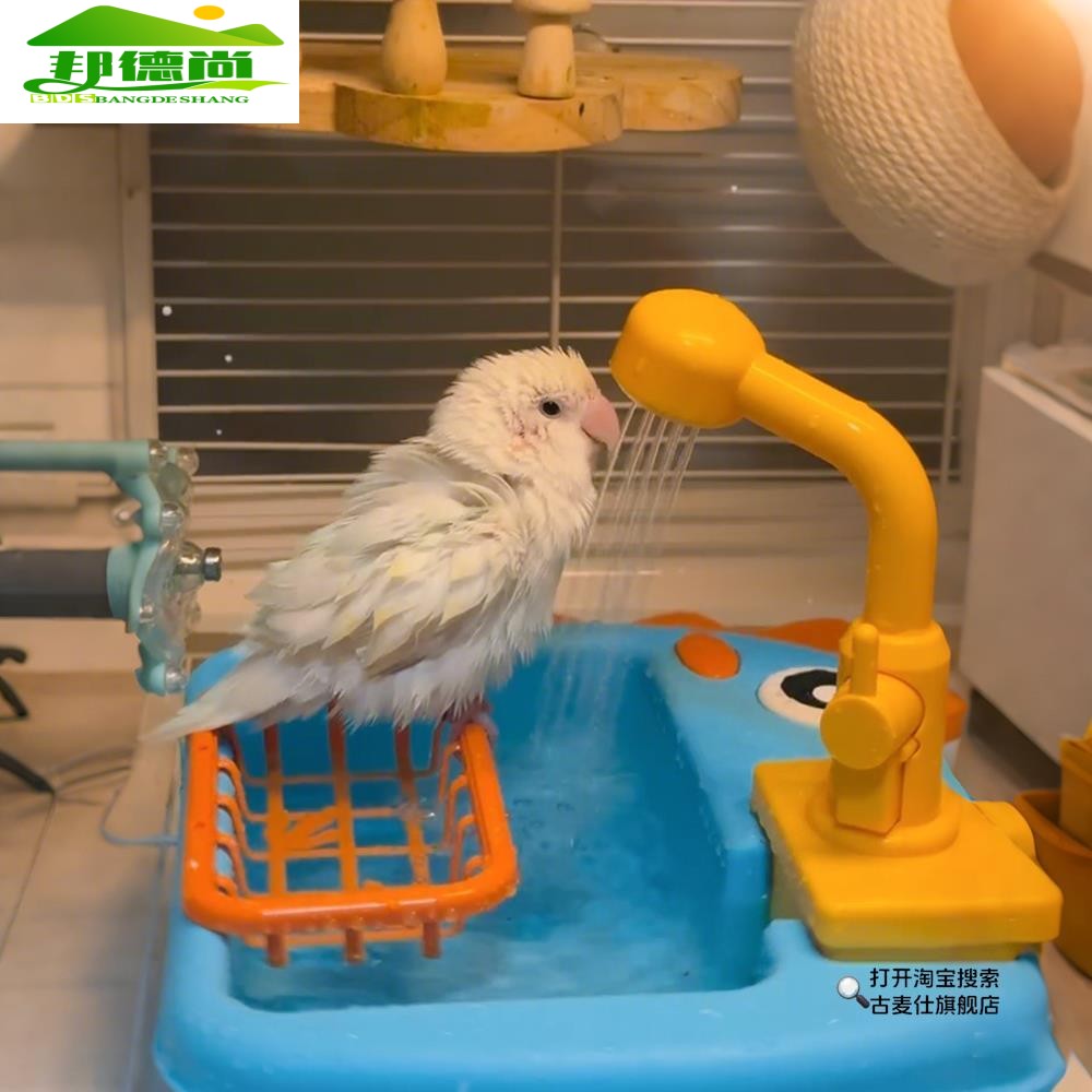 鹦鹉洗澡盆淋浴神器自动循环出水小鸟浴盆牡丹虎皮玄凤专用洗澡盆