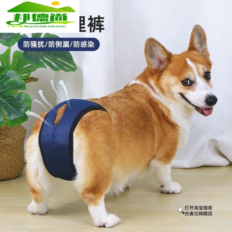 狗狗生理裤母狗防交配神器防孕防脱超透气母狗专用宠物避孕姨妈裤
