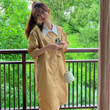 现货271-6069-P115新款连衣裙控168，女装连衣裙，浙宝271