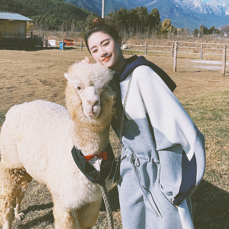 现货 271-7001-P135 新款撞色卫衣收腰抽绳连衣裙 控188图片