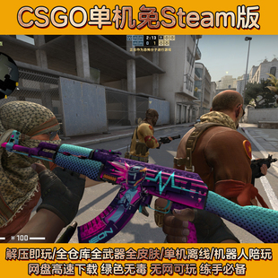 CSGO免STEAM单机版 网游离线本地带机器人陪玩 全武器皮肤新版