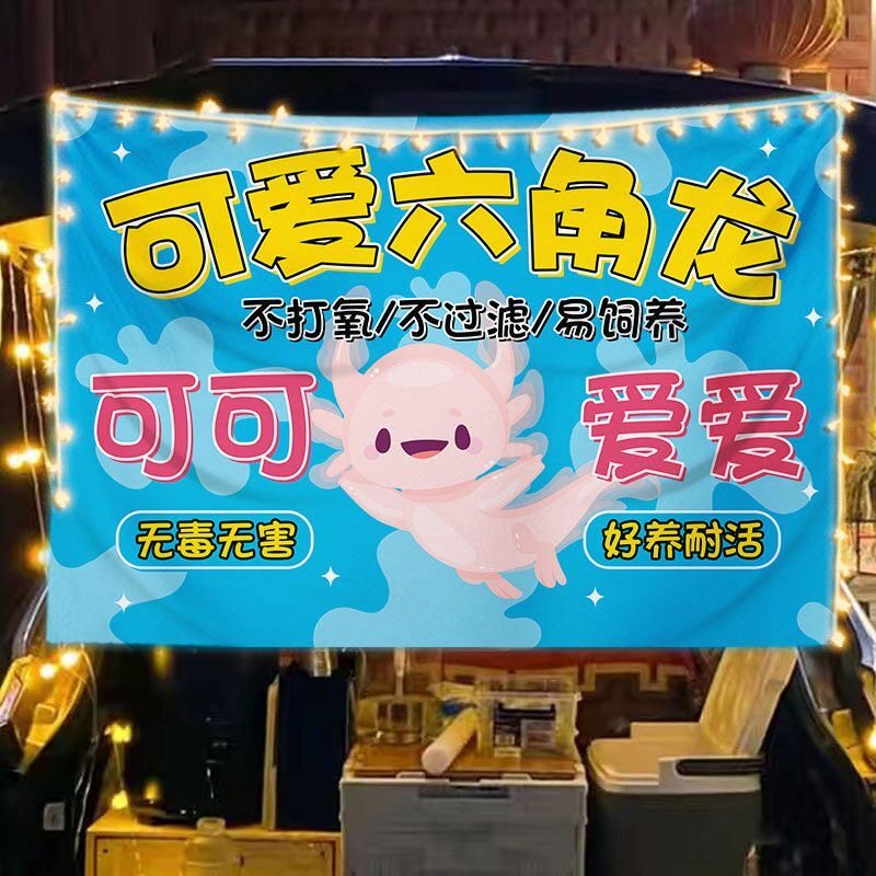 六角恐龙鱼挂布摆地摊摊位网红淡水宠物鱼夜市集市展示宣传广告布