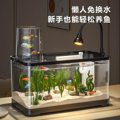 鱼缸过滤制氧All小型客厅2024新款免换水生态金鱼缸底滤桌面