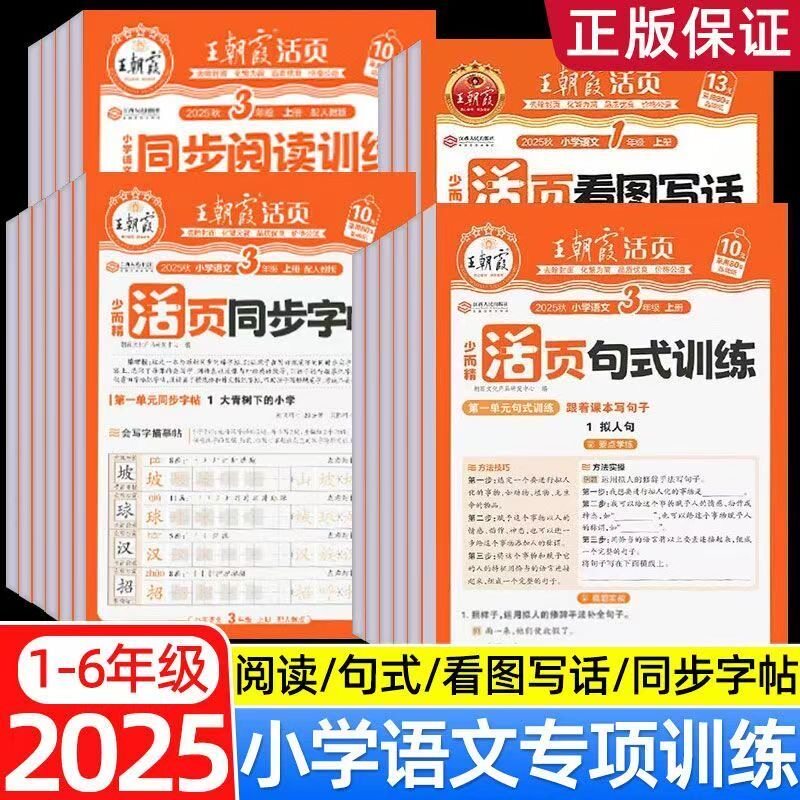 王朝霞小学语文字词句段篇专项练