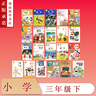 [3年级全科目]课标教科书三年级下教材科学学生活动手册语文数学英语道法美术音乐书法练习信息科技生命与安全小学课本版本任选