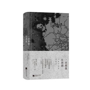 玛·茨维塔耶娃 等 新华书店正版 俄 图书 社 谢·叶赛宁 江苏凤凰文艺出版 一切都像在拯救 著