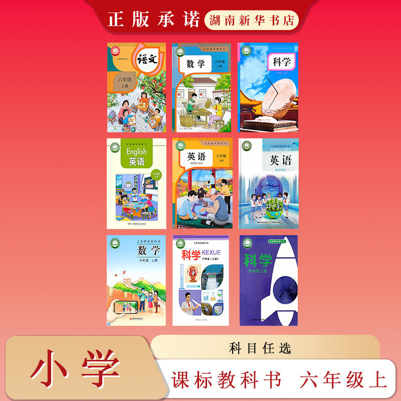 课标教科书 小学六年级上册 语小学教材
