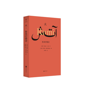 火：鲁米抒情诗 黄灿然 北京联合出版有限公司 新华书店正版图书