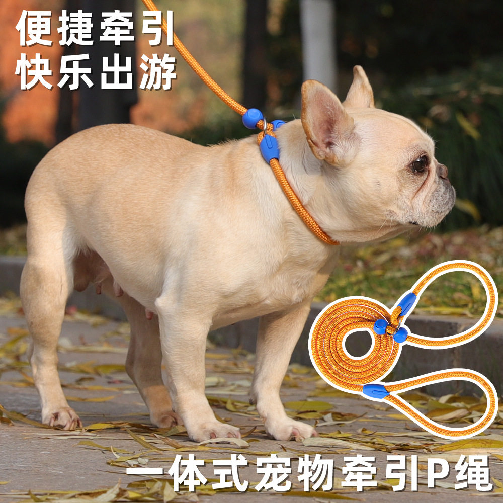狗狗牵引绳 赛季p绳中大型犬训狗狗链防爆冲小型犬遛狗绳