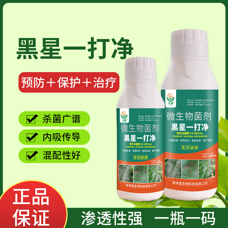 黑星病专用药杀菌剂黄瓜果树正品
