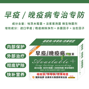 早疫晚疫病特效素杀菌剂辣椒西红柿番茄早疫病晚疫病专用药效果好