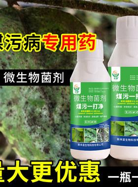 果树柑橘煤污病杀菌剂花卉煤烟病