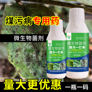 煤污病一打净果树柑橘煤污病杀菌剂番茄辣椒花卉煤烟病专用药正品