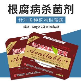进口根腐病特效素杀菌剂黄瓜辣椒草莓青枯病花生枯萎黄萎病烂根药