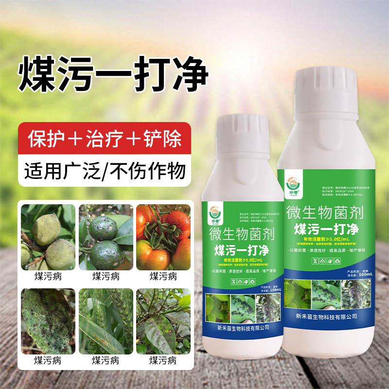 柑橘煤污病专用杀菌药煤烟病正品
