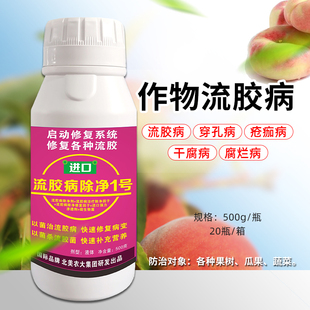 进口流胶病除净1号杀菌剂 果树柑橘李子花椒树桃树黄瓜流胶病专用