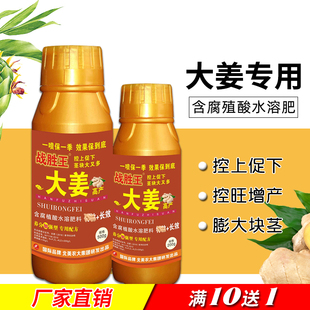 战胜王大姜特效高产生姜专用叶面肥生姜专用肥地下根茎块膨大素