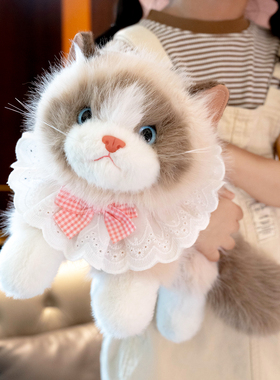 可爱布偶猫公仔小猫咪毛绒玩具女生床上睡觉抱玩偶陪睡布娃娃礼物