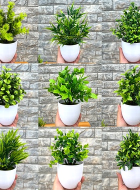 仿真植物盆景室内装饰多款可选