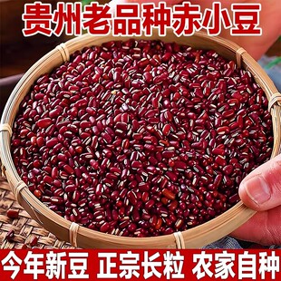 贵州老品种正宗赤小豆今年新豆正宗长粒农家自种红豆煮粥新货优质