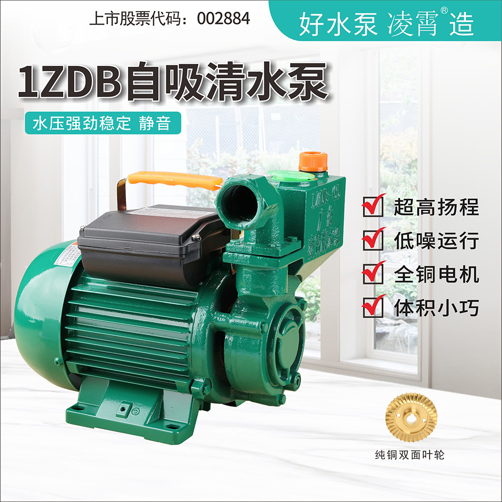 广东凌霄1zdb家用自来水增压泵