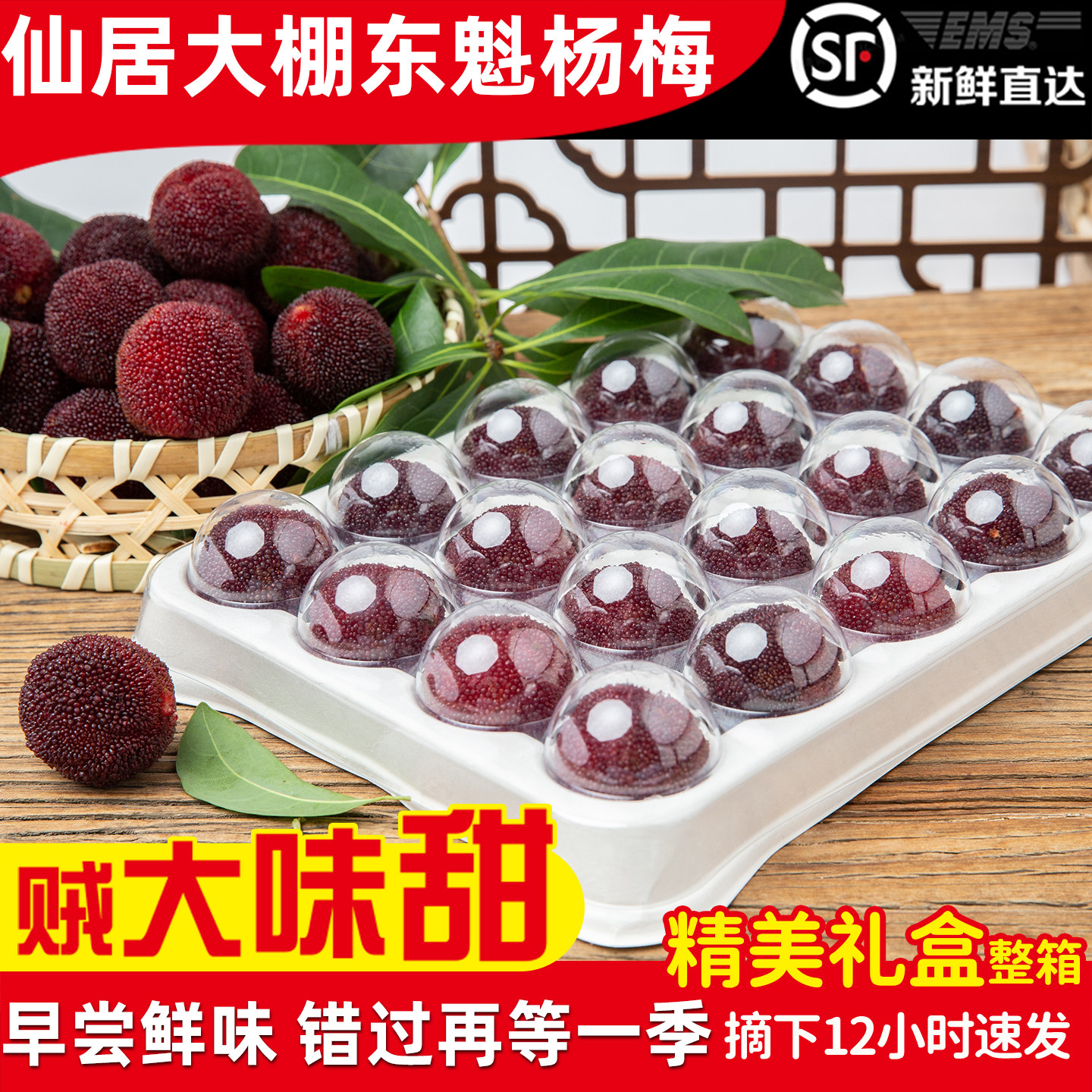 大棚杨梅仙居东魁杨梅现摘现发