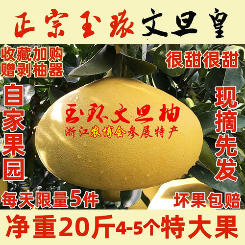 【文旦皇稀缺大果】玉环文旦20斤