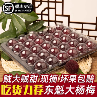 浙江仙居東魁楊梅新鮮大楊梅當季 整箱 鮮果現(xiàn)摘現(xiàn)發(fā)水果禮盒包裝