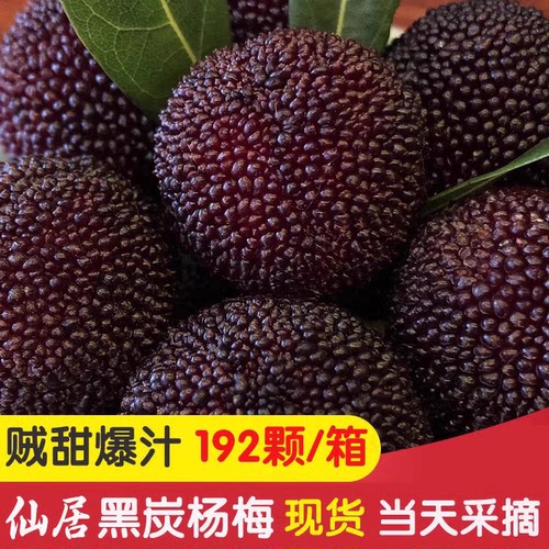 仙居荸荠杨梅汁多味甜