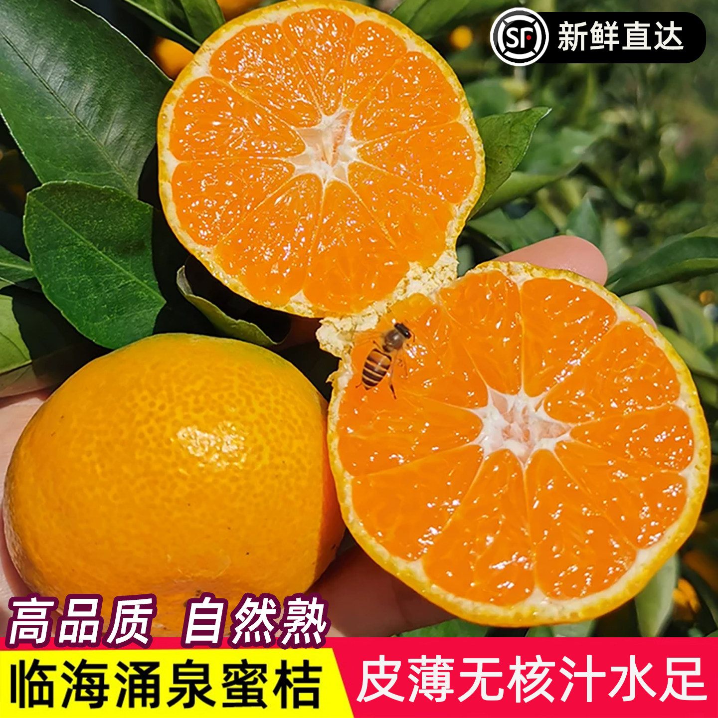 【正宗】临海涌泉蜜桔新鲜橘子薄皮当季水果蜜橘10整箱浙江黄岩桔