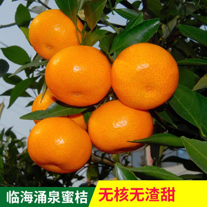 【贡级】正宗涌泉蜜桔临海薄皮橘子无核宫川蜜橘2.5斤整箱新鲜桔