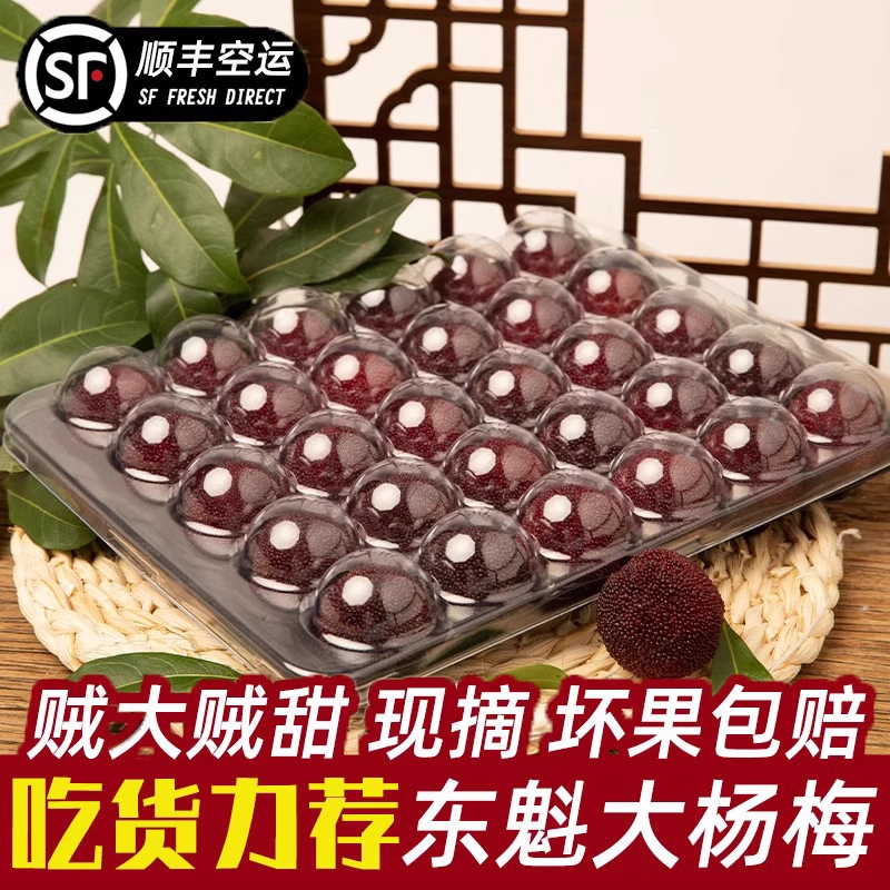 浙江仙居东魁大杨梅当季新鲜杨梅整箱颗粒包装鲜果现摘现发水果