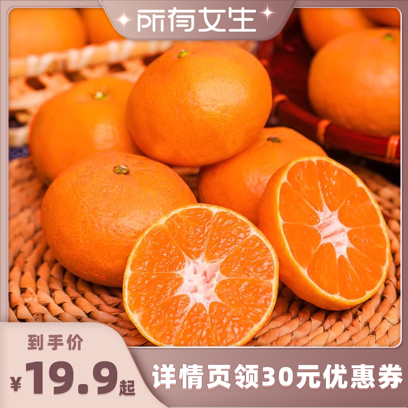 正宗涌泉无核蜜桔