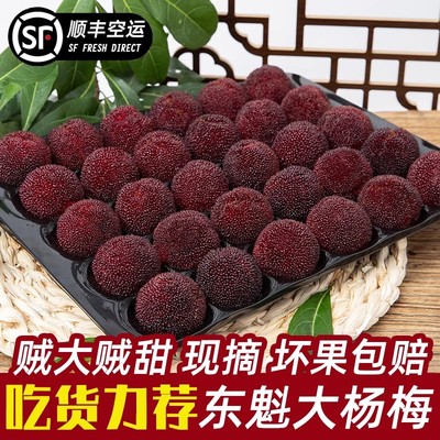 【12小时现摘速发】特甜东魁杨梅