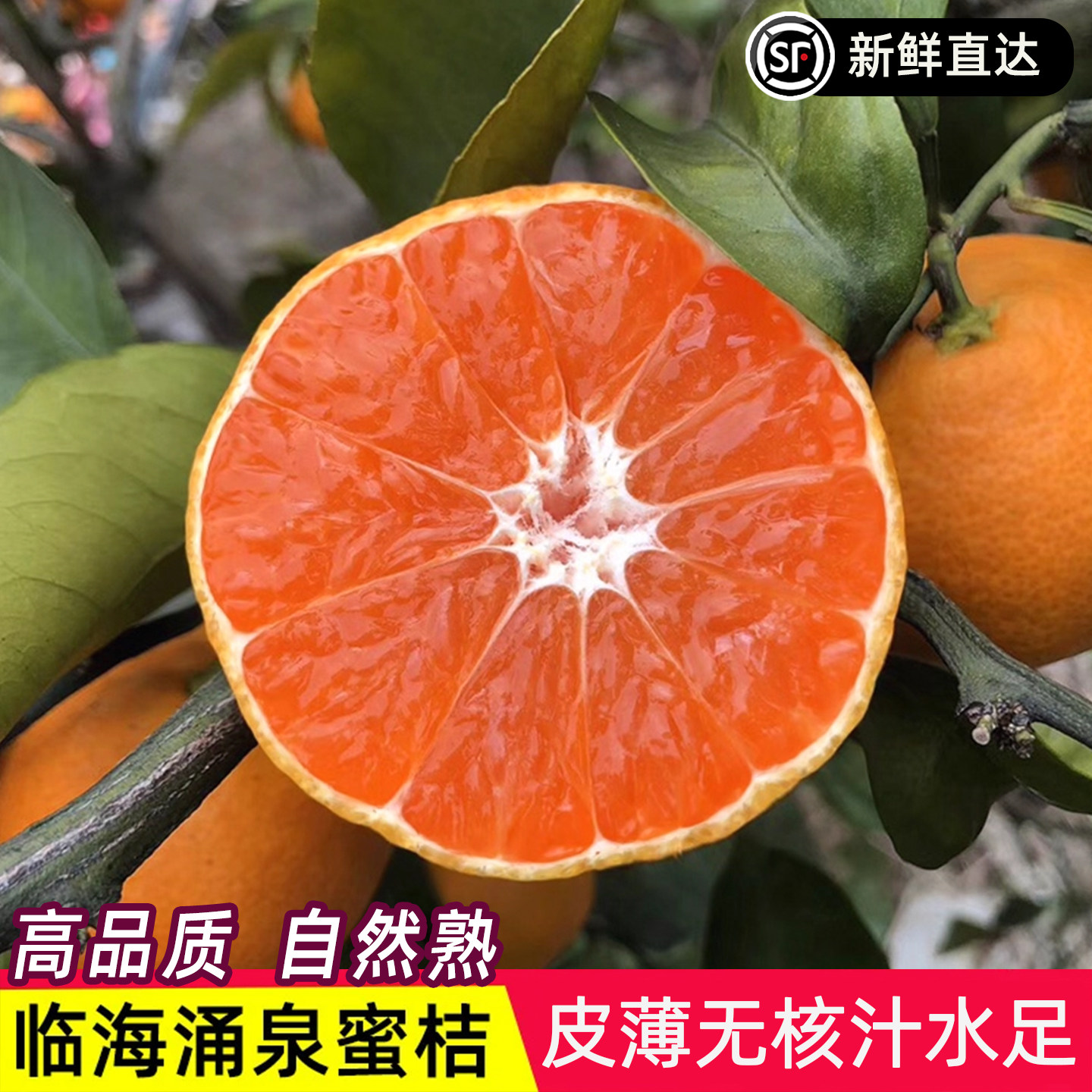 涌泉蜜桔正宗临海薄皮橘子无核宫川蜜橘整箱新鲜水果桔子当季现摘