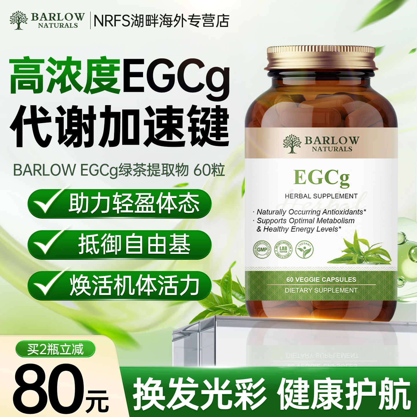 绿茶提取物EGCG茶多酚懒人代谢