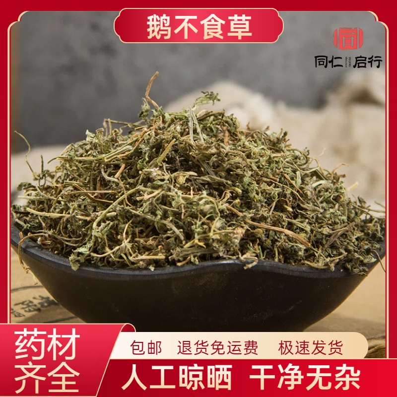 鹅不食草中药材500g苍耳子鹅不食草新鲜野生鹅不吃草粉泡水喝