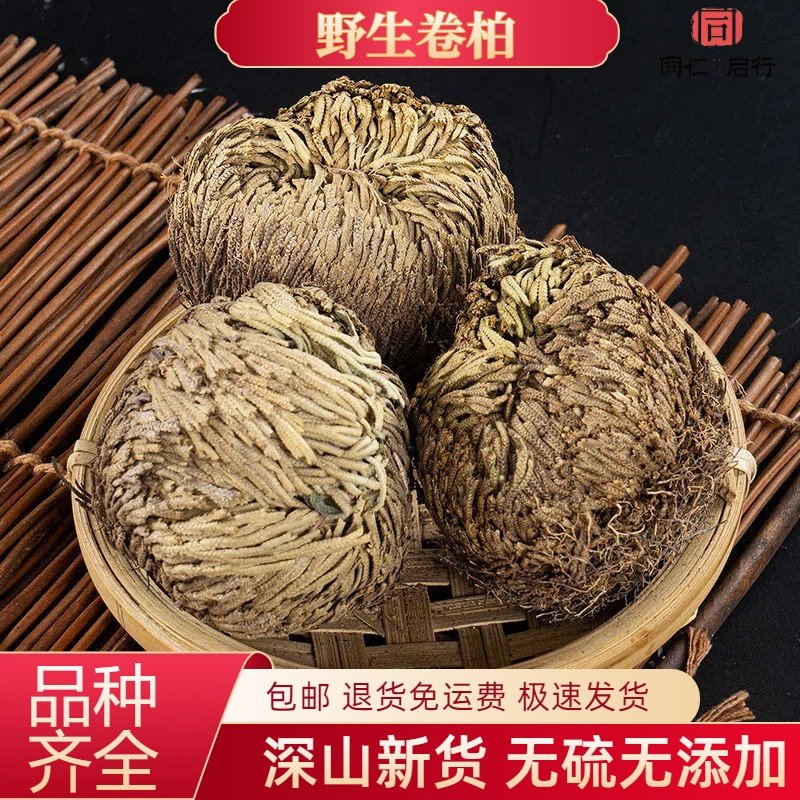 卷柏中药材250g还阳草不死草