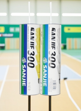 羽毛球飞行稳定防风室内外训练不易烂户外6只装正品