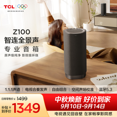 TCLZ100专业无线音箱灰色