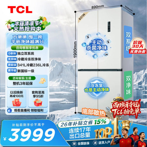 TCL方墩墩601L双系统双净味新1级