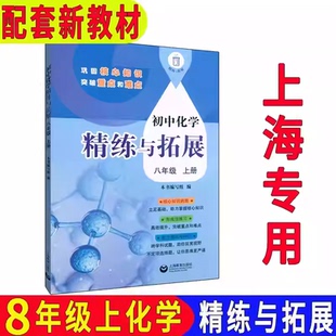 2025新版初中化学精练与拓展八年级上册 沪教版上海教材配套初二