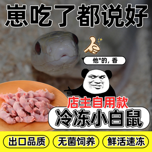 冻鼠冷冻速冻小白鼠乳鼠大白冰冻红皮粉皮白霜乳鼠跳跳爬宠龟饲料