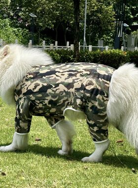 中大型宠物狗狗夏季透气网眼衣服