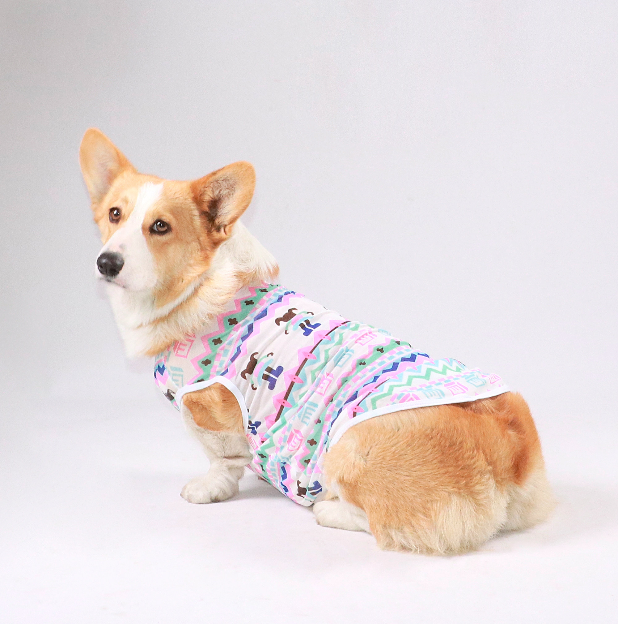 宠物狗狗春夏可爱网纱背心中型犬柯基柴犬巨贵比熊博美防掉毛衣服,宠物/宠物食品及用品,狗宠物服装/雨衣,淘宝优惠券,粉丝福利购,淘宝优惠卷