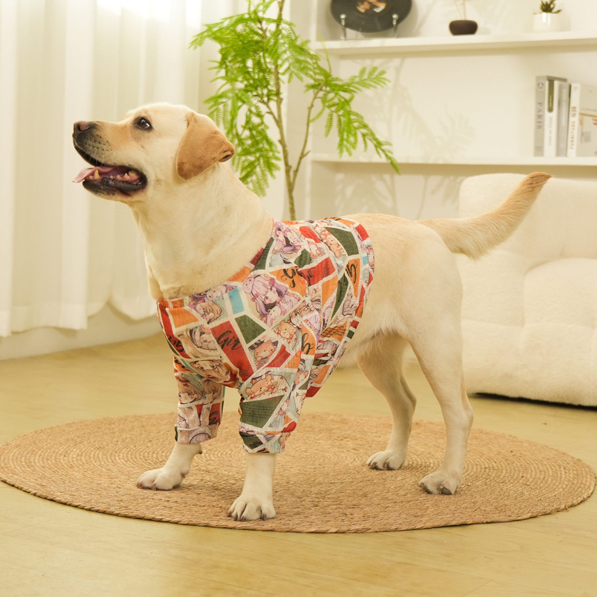 中大型狗狗护肘衣春夏款通用款